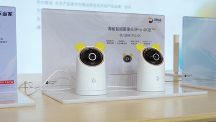 鴻蒙智聯賦能，海雀科技旗艦新品亮相峰會，引領智能看護服務新篇章